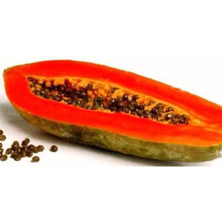 70 benih/bibit/biji pepaya jingga