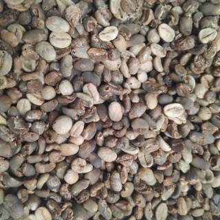 GREEN BEAN KOPI ARABIKA CABUTAN / KOPI SORTIR DEFECT 1KG | Shopee Indonesia