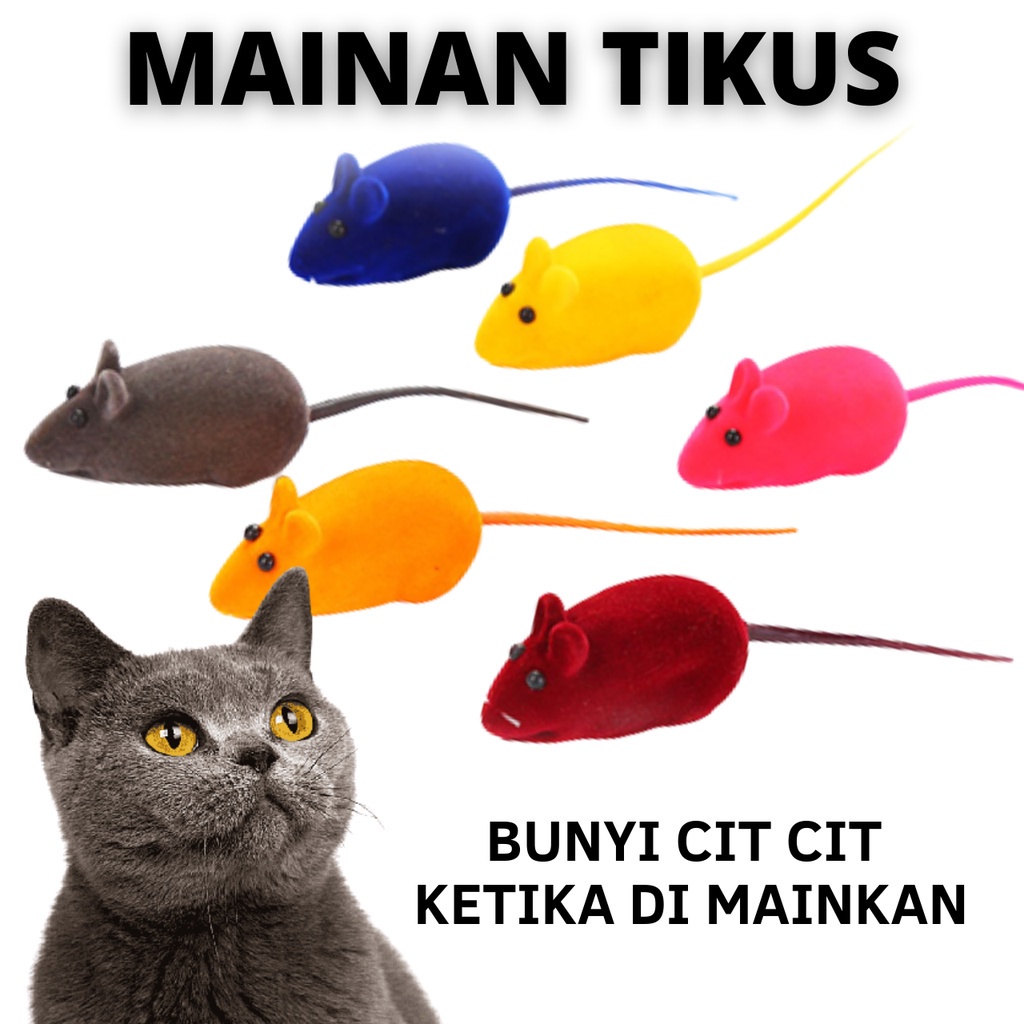 Mainan Tikus Cit Cit Mainan Kucing Pet Toys Tikus Cit Cit