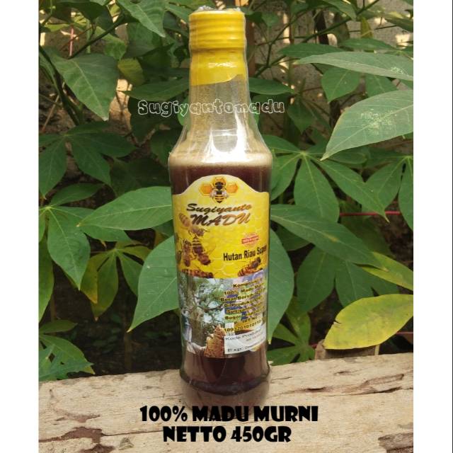 

MADU ASLI.. MADU MURNI.. Sugiyanto Madu 450gr ..Madu Riau Hutan Super (MURNI TANPA CAMPURAN)