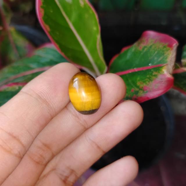 Batu asli bulu macan (batu cincin) natural alam batu akik permata akik murah batu alam