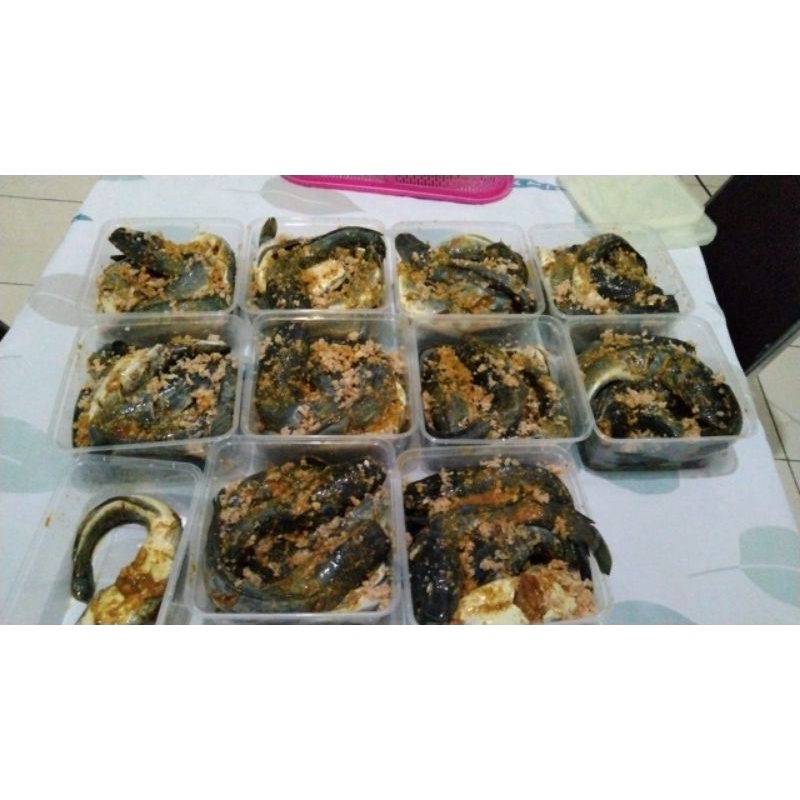 

ayam bumbu ungkep dan lele segar bumbu