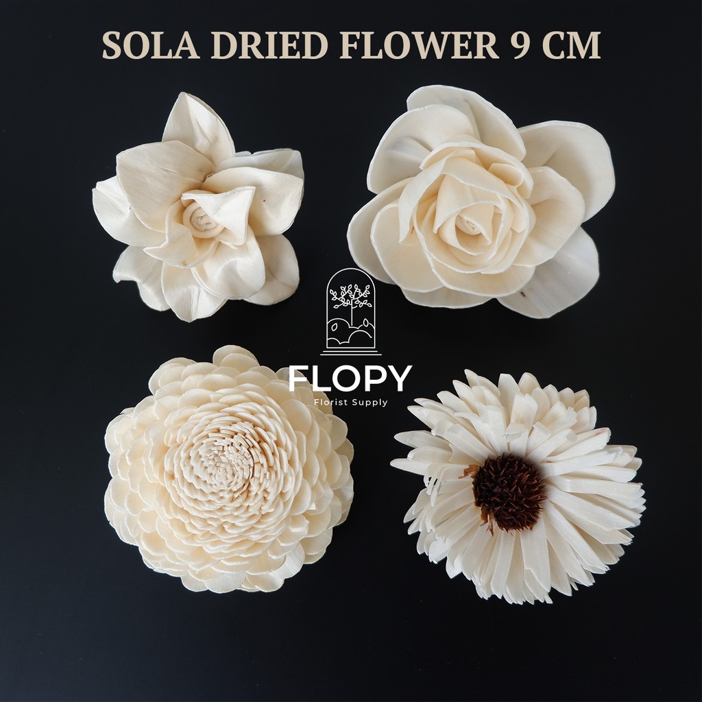 FLOPY Bunga Sola Wood 9 CM Dried Flower Import / Bunga Diffuser