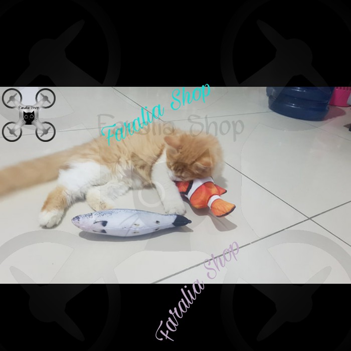 Mainan Untuk Kucing Boneka Ikan Catnip Catmint Bahan Plush Anjing Cat Nip Mint