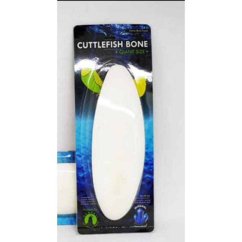 Tulang Sotong Jumbo 19-20cm kalsium dan gacorkan burung grade A