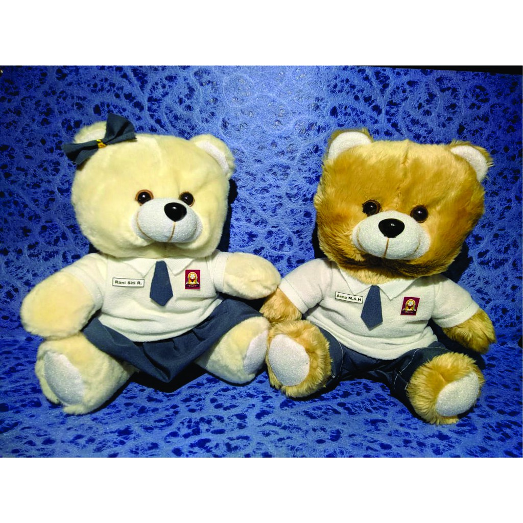 BONEKA SERAGAM SEKOLAH SD SMP SMA | BONEKA KELULUSAN | PERPISANA | BONEKA WISUDA | BUKET BUNGA