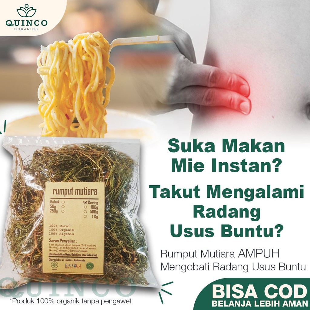 

Rempah obat Radang Usus Buntu RUMPUT MUTIARA MURNI diabetes gula darah malaria kanker R16 JSR 100gr