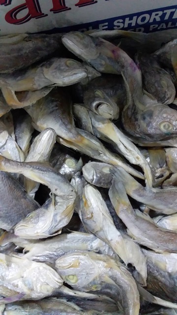 Ikan Kepala Batu asli medan 250gr