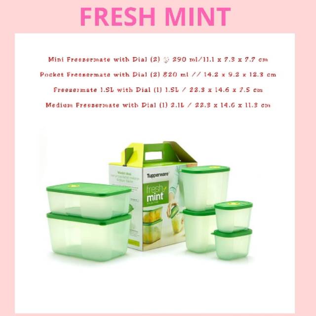 Fresh Mint Tupperware