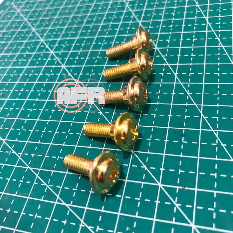 10 PCS BAUT DASI GOLD/SEKRUP BODY SUPRA/BAUT BODY SUPRA X/REVO/KARISMA/FIT X