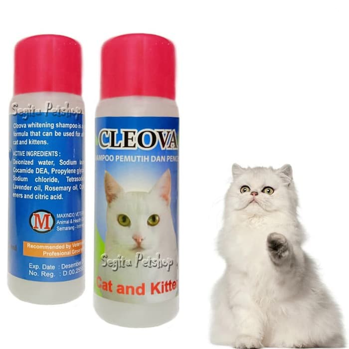 SAMPO KUCING BULU PUTIH SHAMPO PEMUTIH BULU KOTOR CLEOVA