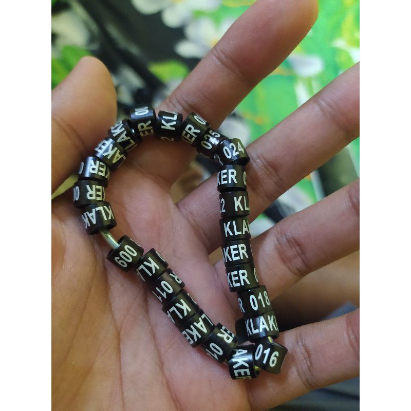 ring burung puter pelung