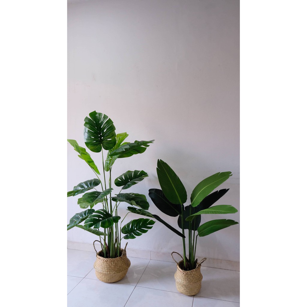 Pohon Palsu / Pohon Plastik Monstera