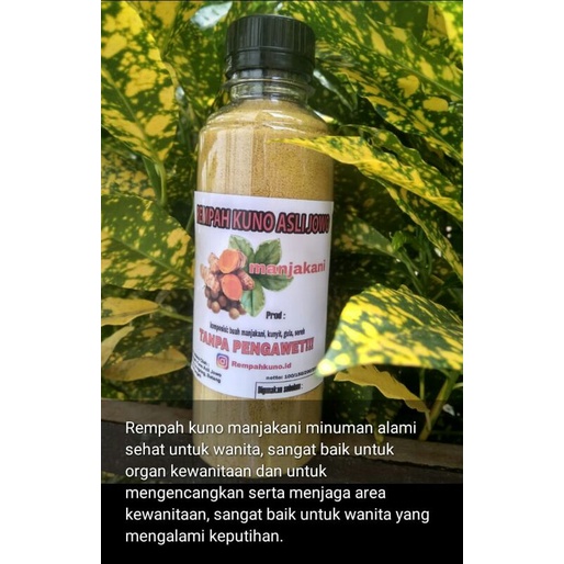 

rempah kuno manjakani
