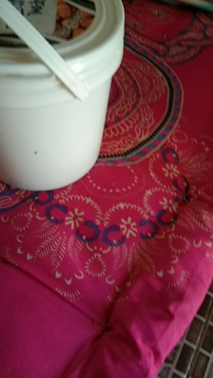 Kemeja Batik Pria Ppbtk07 Modern Lengan Pendek Casual Modis Trendy Masa Kini M L Xl Asli Pekalong