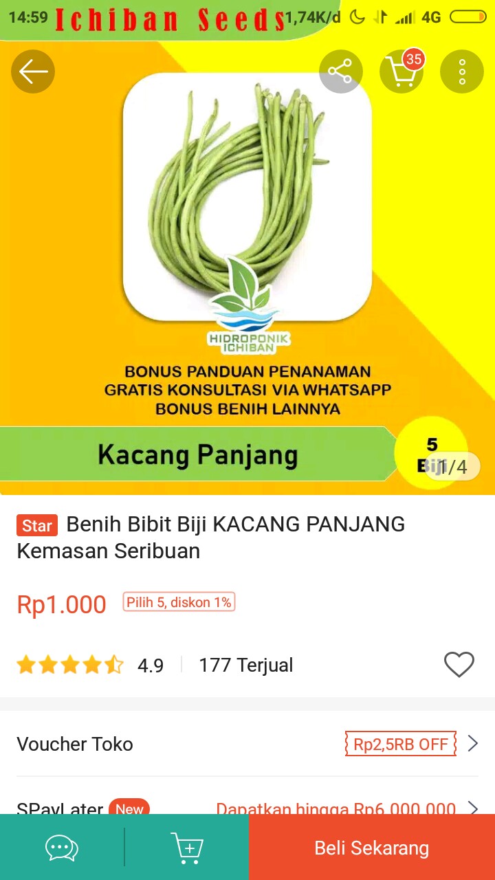 Benih Bibit Biji Mentimun Timun Lalap Merkuri Kemasan Alumunium Foil