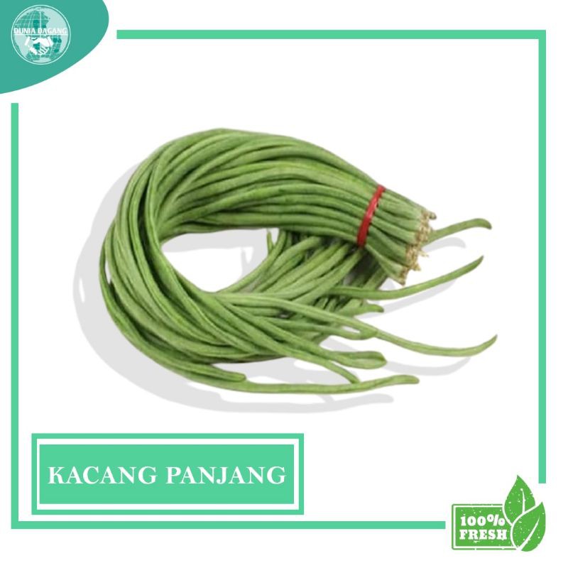 

DD - Sayuran Segar Sayur FRESH Kacang panjang 250gr murah