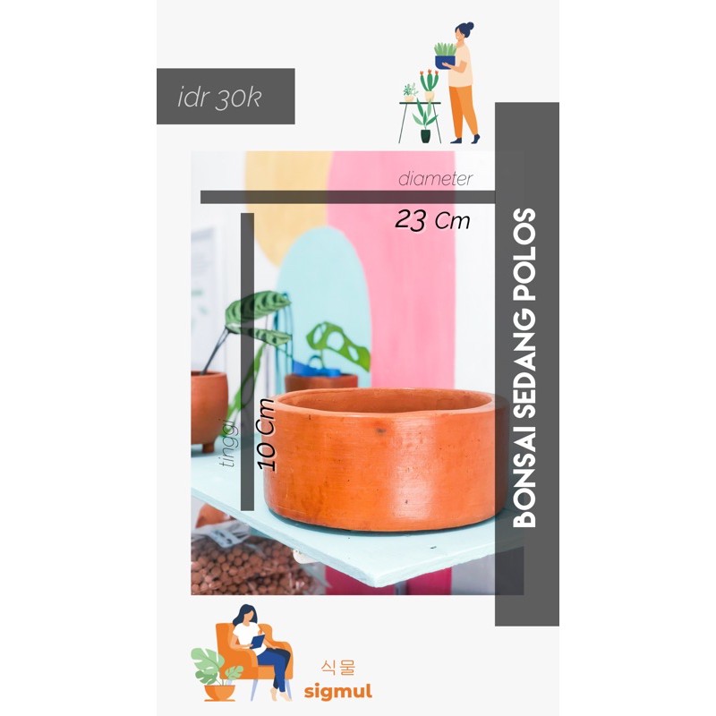 Pot Terakota / Pot Gerabah / Pot Teracotta / Tanah Liat Bonsai Sedang Polos