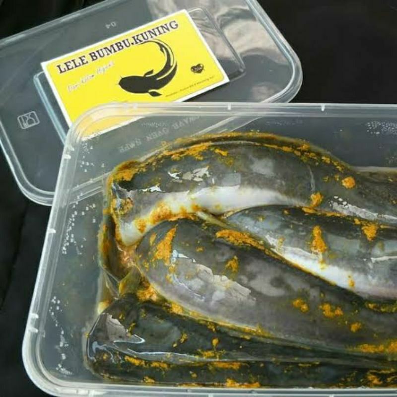 

Ikan Lele Bumbu Kuning FRESH 500gr-1000Gr