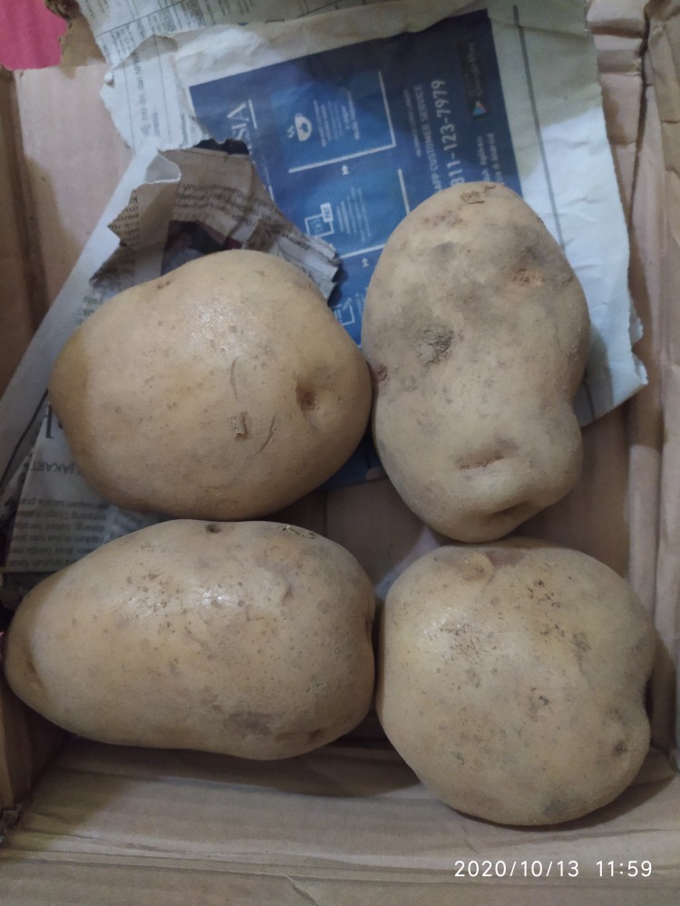 Kentang Dieng Super Jumbo (1kg)