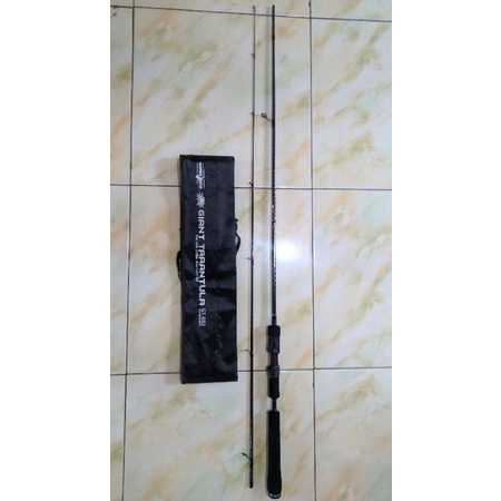 Joran Hammerhead Giant Tarantula 692