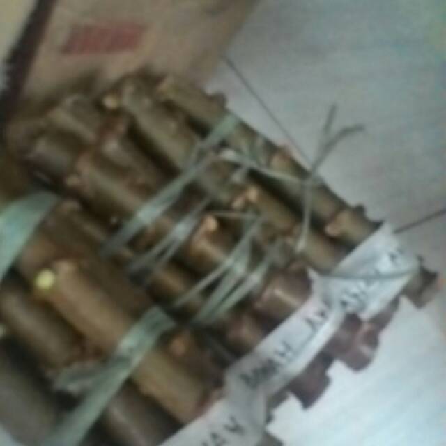 Batang singkong bibit singkong ubi jalar