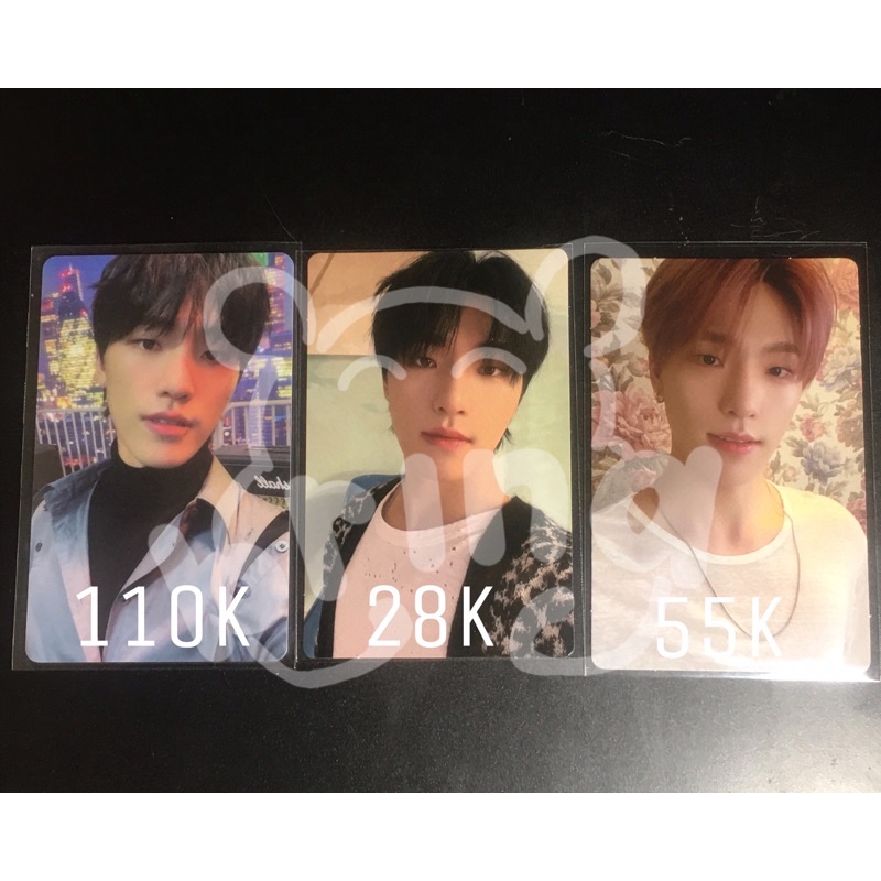 photocard dino attacca