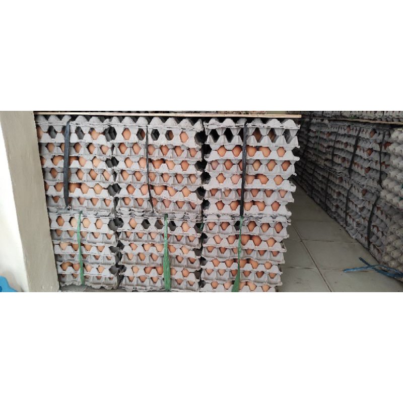 

Telur Ayam Negeri 1 Ikat 10 kg Berkualitas