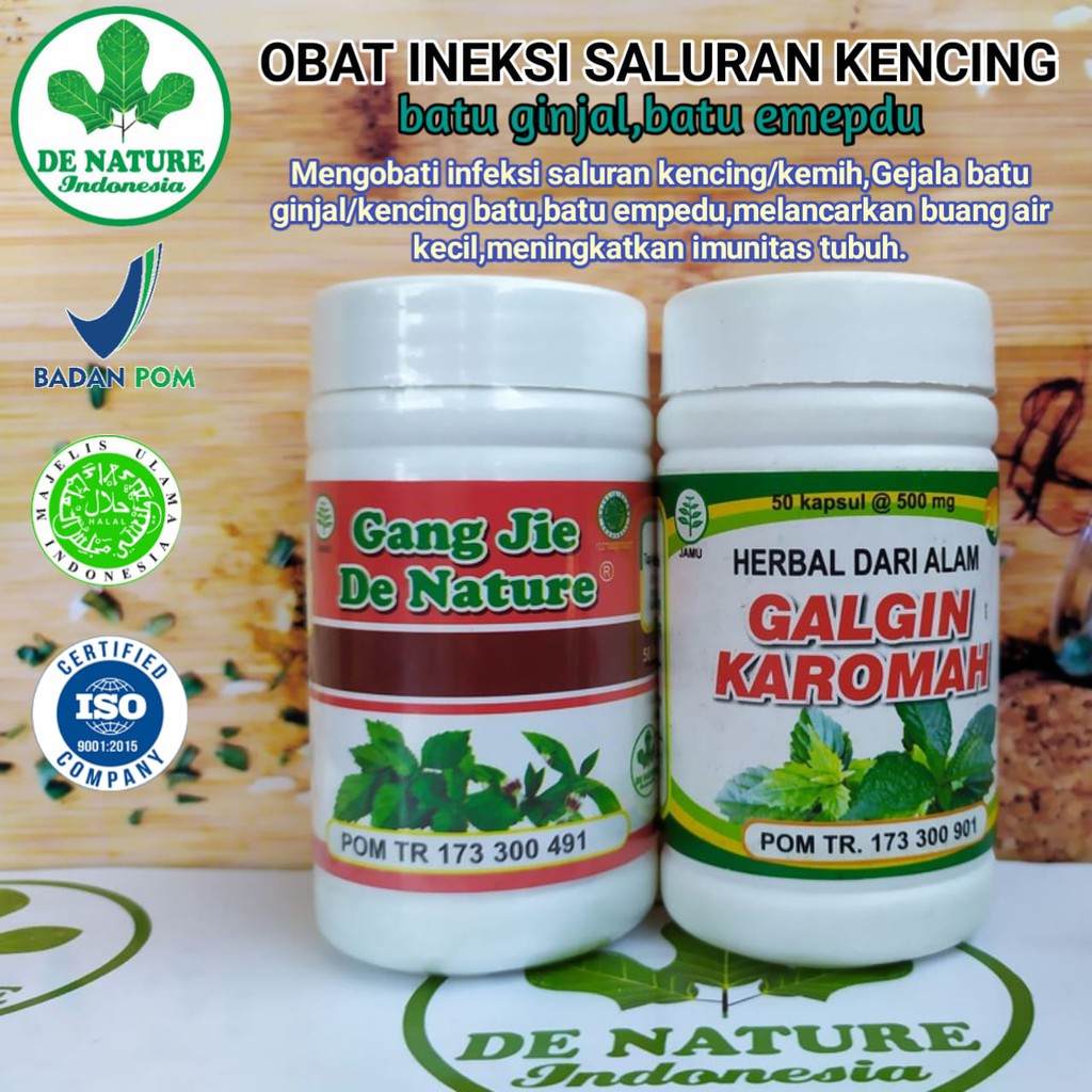 Obat Gagal Ginjal Bengkak