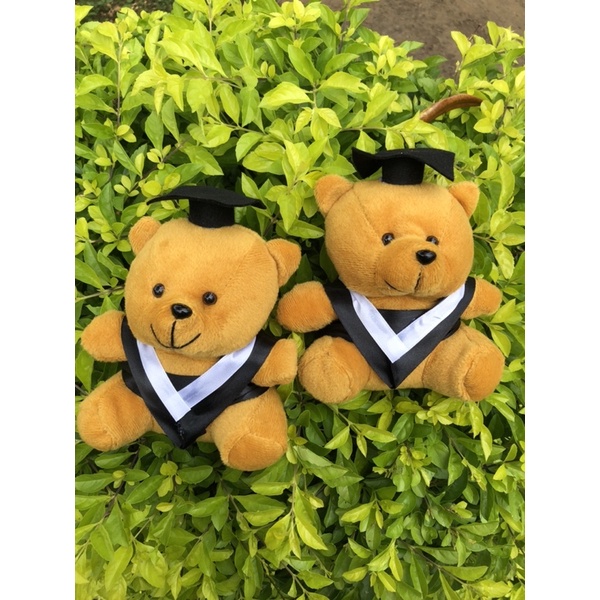 Jual Boneka Wisuda Mini 15CM / Teddy Bear 15CM/ Beruang Wisuda / Bear ...