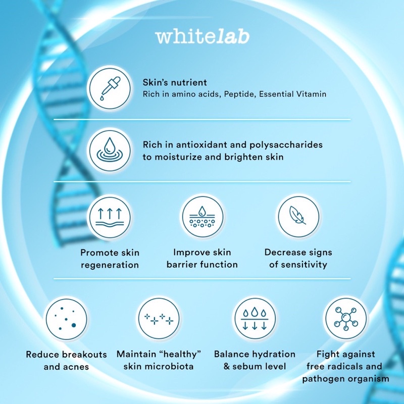 WHITELAB Probiome Complex Serum Indonesia / Facial Wash Hydrating Essence Toner Ampoule Day Night Underarm Eye Cream Sunscreen Clay Mask Masker Gel Body Soap / Face Acne Brightening Mugwort Heartleaf Niacinamide Wajah Lengkap Set Sabun Krim Pelembab White