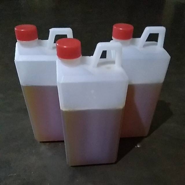 

Madu sialang kuning