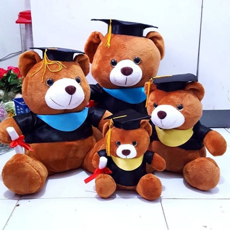 BNK BONEKA WISUDA BEAR SEULGI