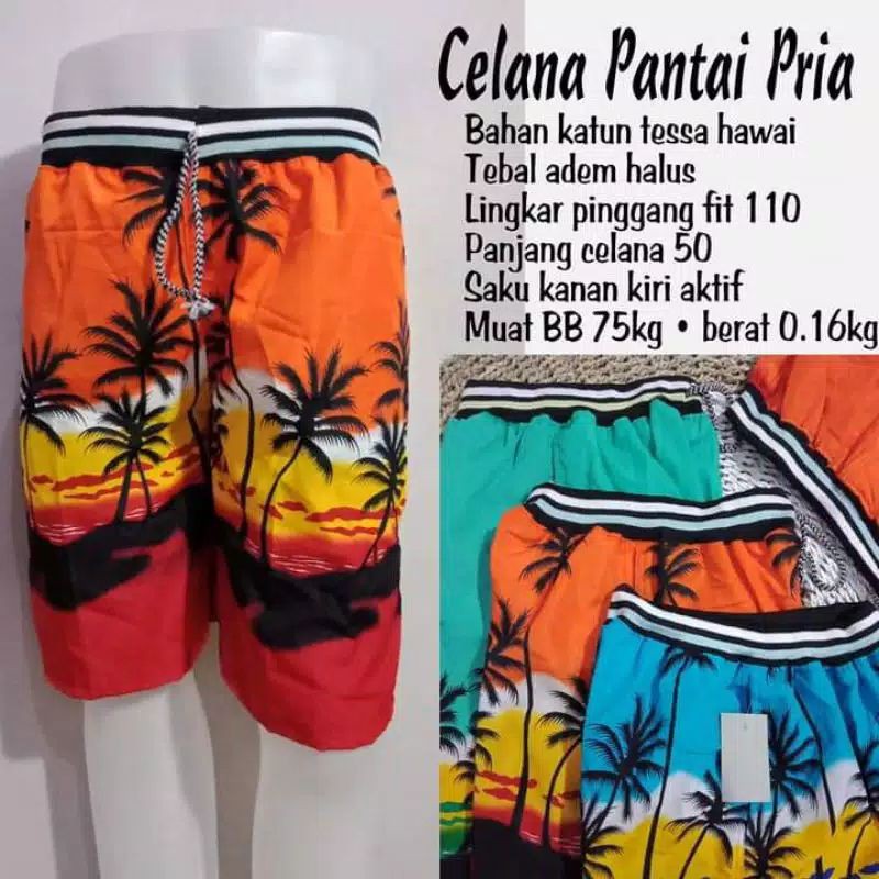celana pantai pria