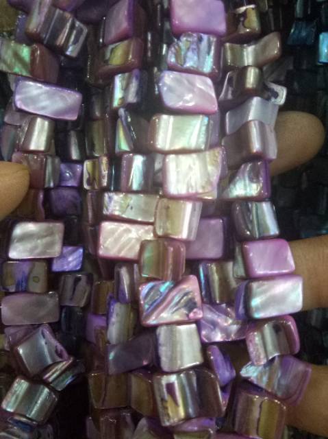 Kerang kotak 35cm