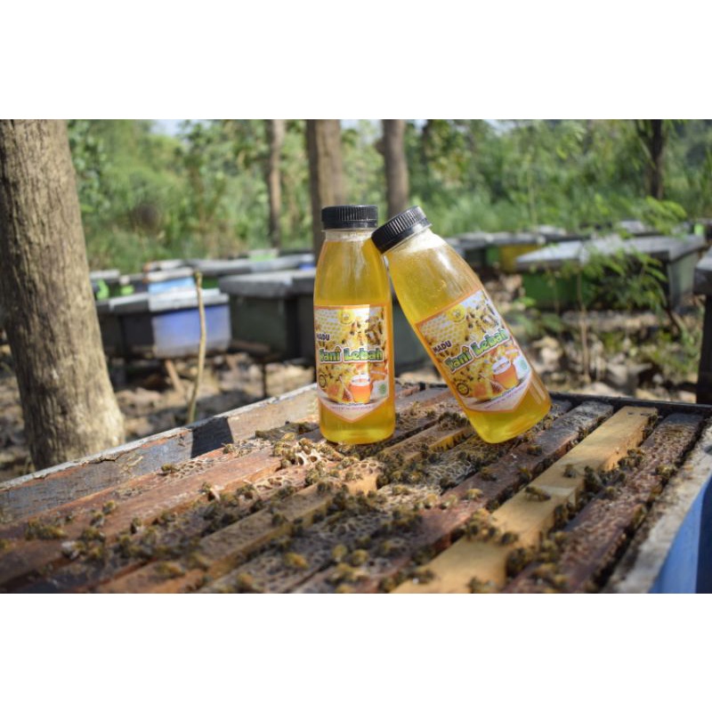 

Madu Multiflora TANI LEBAH 500 gr