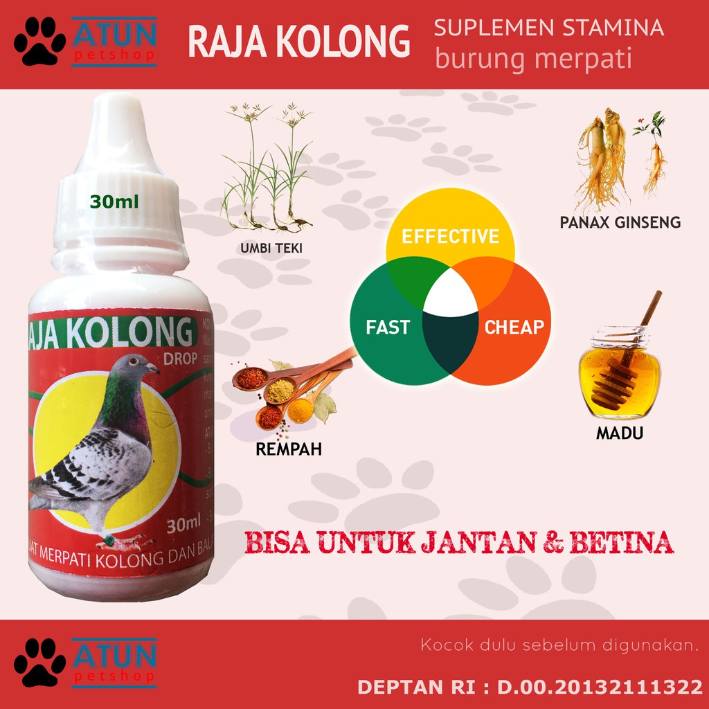 Raja Kolong Vitamin Stamina Burung Merpati Kolong Jantan Betina