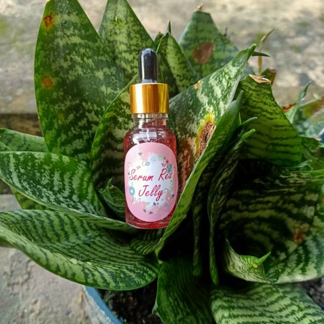 Serum red jelly