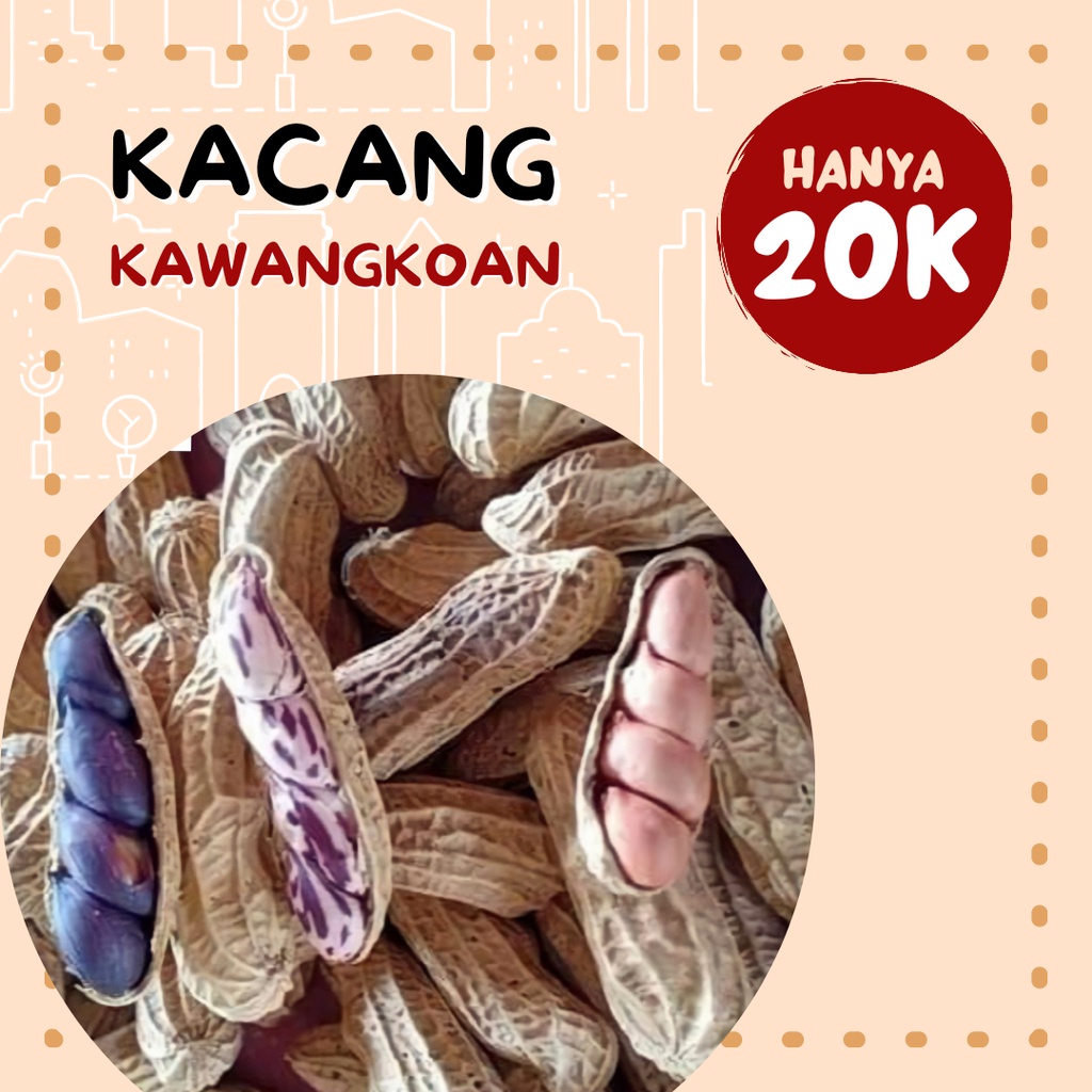 

Kacang Sangrai Kawangkoan Kacang Belimbing Kacang Batik Kacang Merah Cemilan dan Oleh-oleh Khas Minahasa Manado