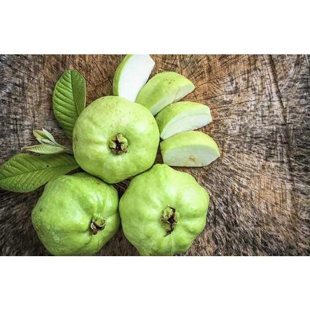 

Jambu Kristal 900 Gr - 1 Kg