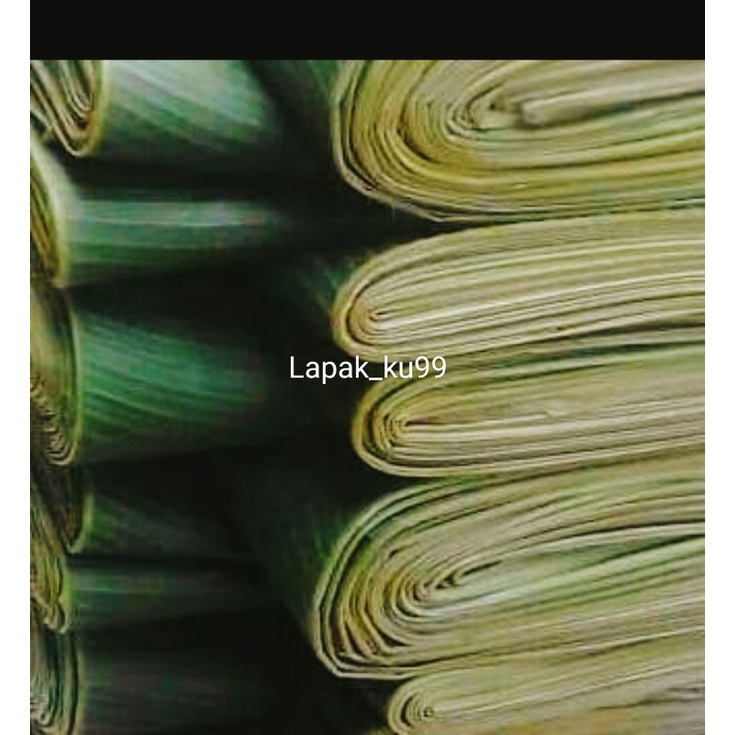 DAUN PISANG FRESH 1 IKAT | BONUS DAUN KERING