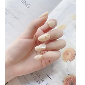 csXx4X8--【 COD 】HIASAN Manik-Manik Dekorasi Cangkang Seni Kuku Mutiara Kerang Abalone Asimetris 3d /