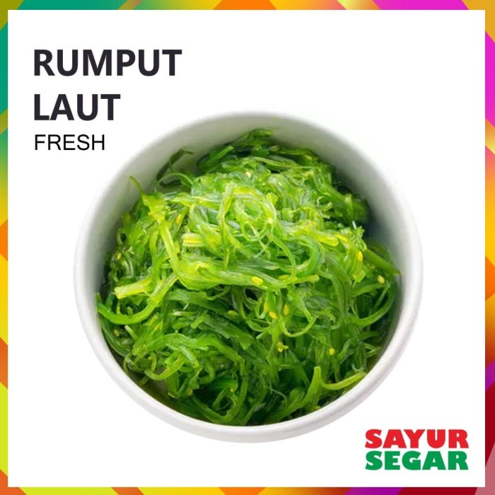 

[CINERE] RUMPUT LAUT SEGAR [250g]