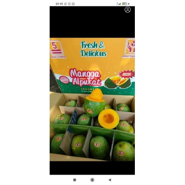 

mangga alpukat