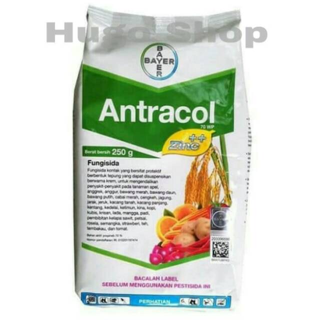 Fungisida Antracol 250 Gr Obat Tanaman Obat Jamur Obat Anggrek Shopee Indonesia