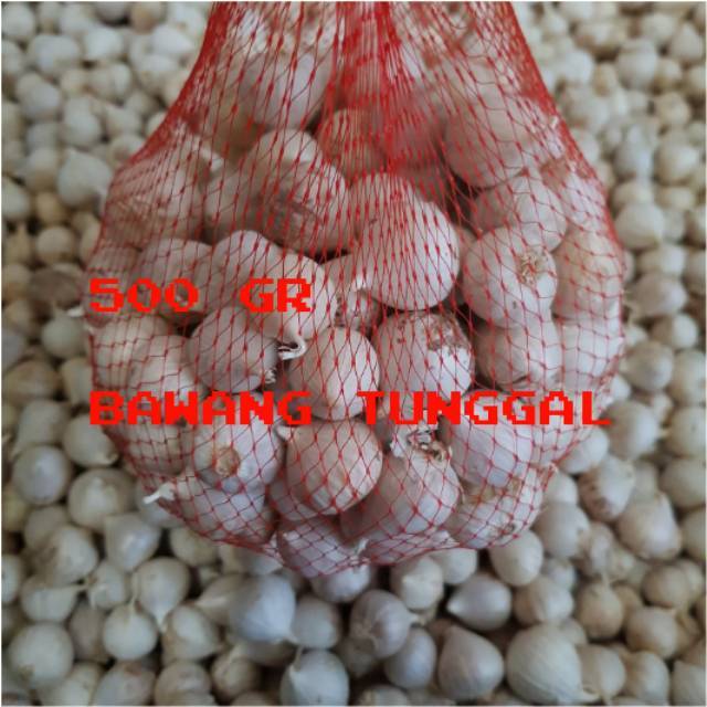

Bawang Putih Tunggal/Bawang Lanang 500 Gr