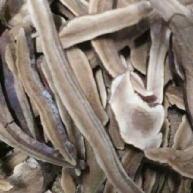 Jamur lingzhi 1 kg