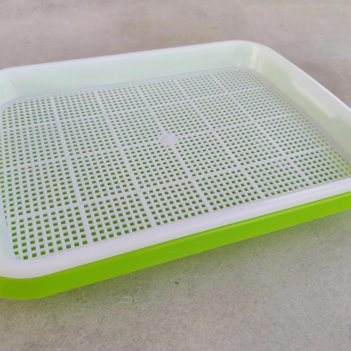 .........] Tray Microgreen 1 Set