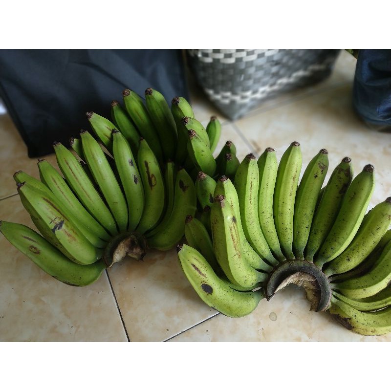 

PISANG AMBON/BUAH SEGAR/PISANG LUMAJANG