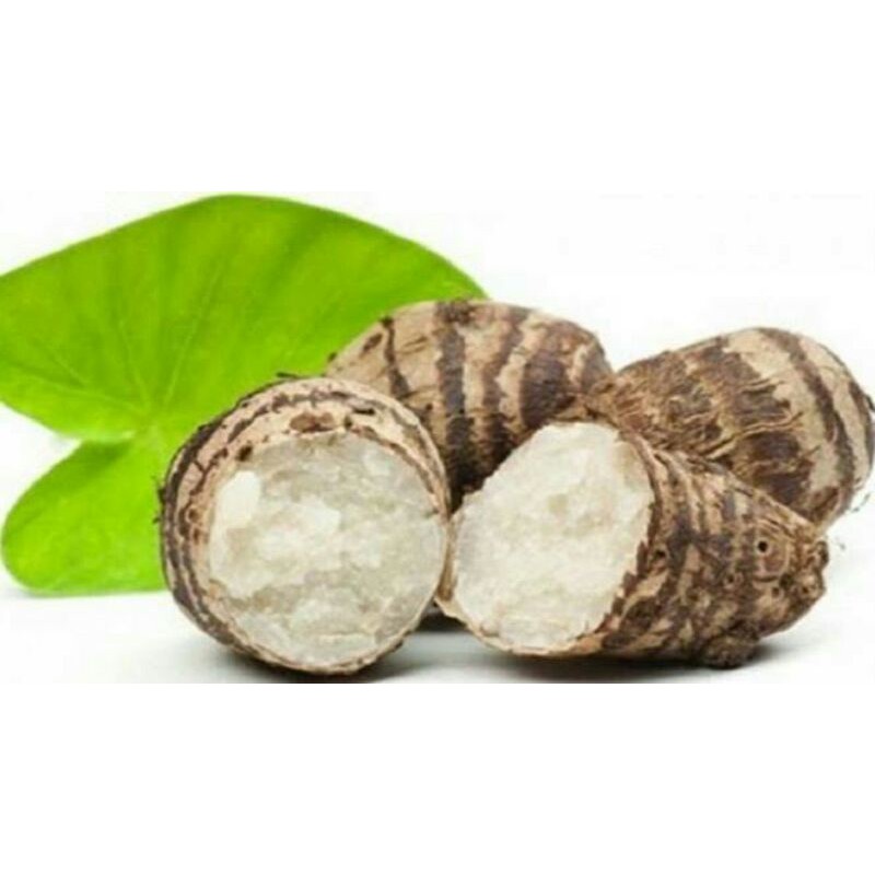 

talas segar siap panen ketika order berat 1 kilo